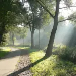 a4.com notebook stationery 12