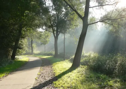 a4.com notebook stationery 12