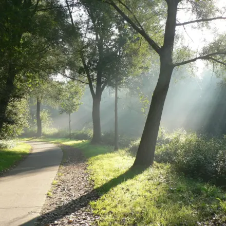 a4.com notebook stationery 12