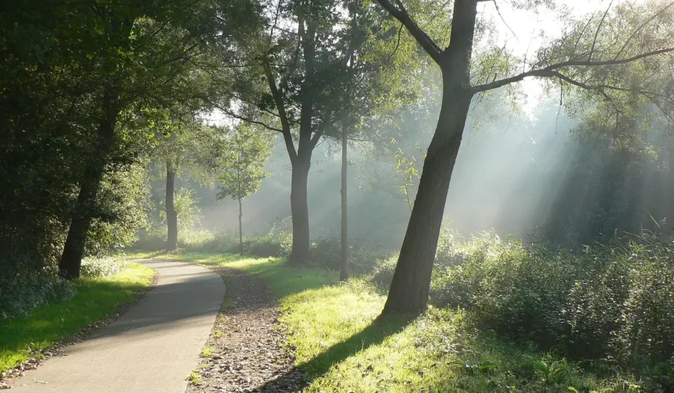 a4.com notebook stationery 12